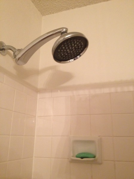 Above: The suspect was caught "lingering about" the scene of the crime.